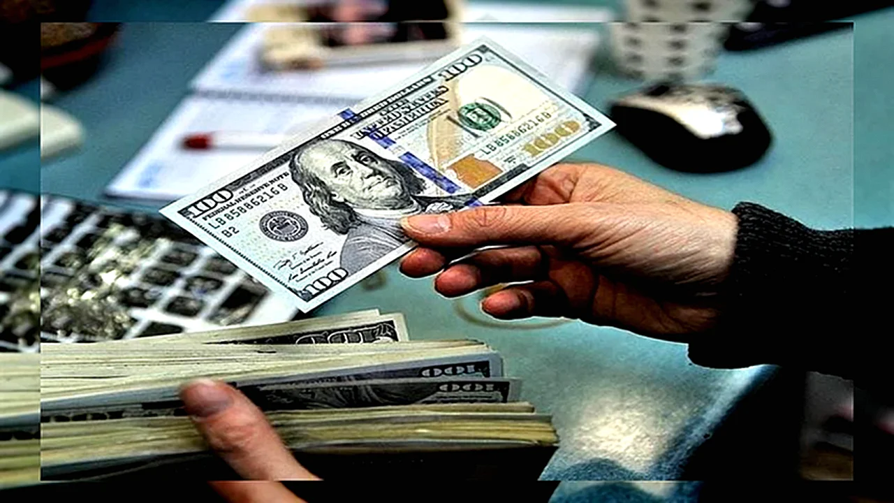 آخر سعر للدولار مقابل الجنيه المصري قبل بدء تعاملات اليوم