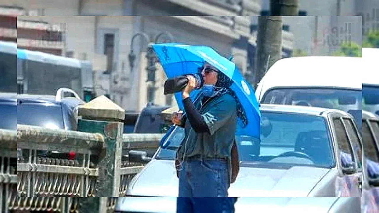 المحاصيل الاستراتيجية في اعتدال الطقس يحافظ على محاصيل