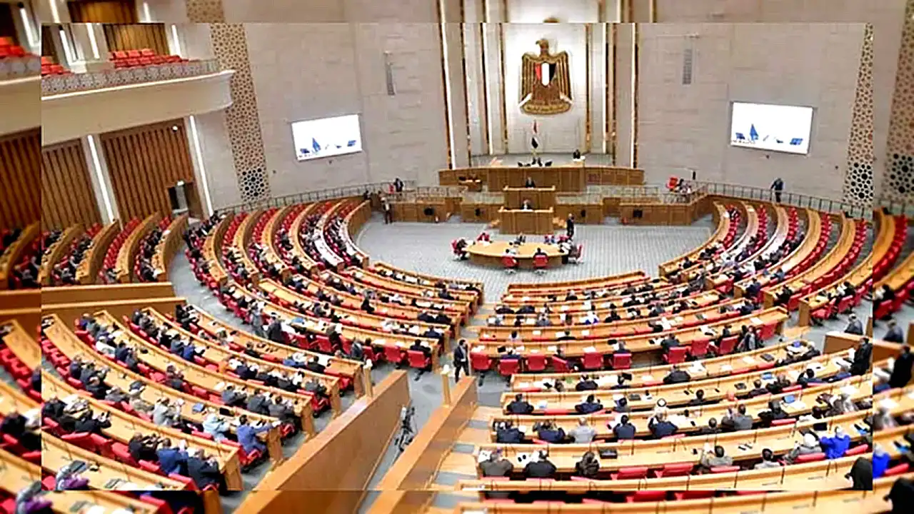 برلماني يطالب بخطة عاجلة للتعامل مع فيروس هانتا