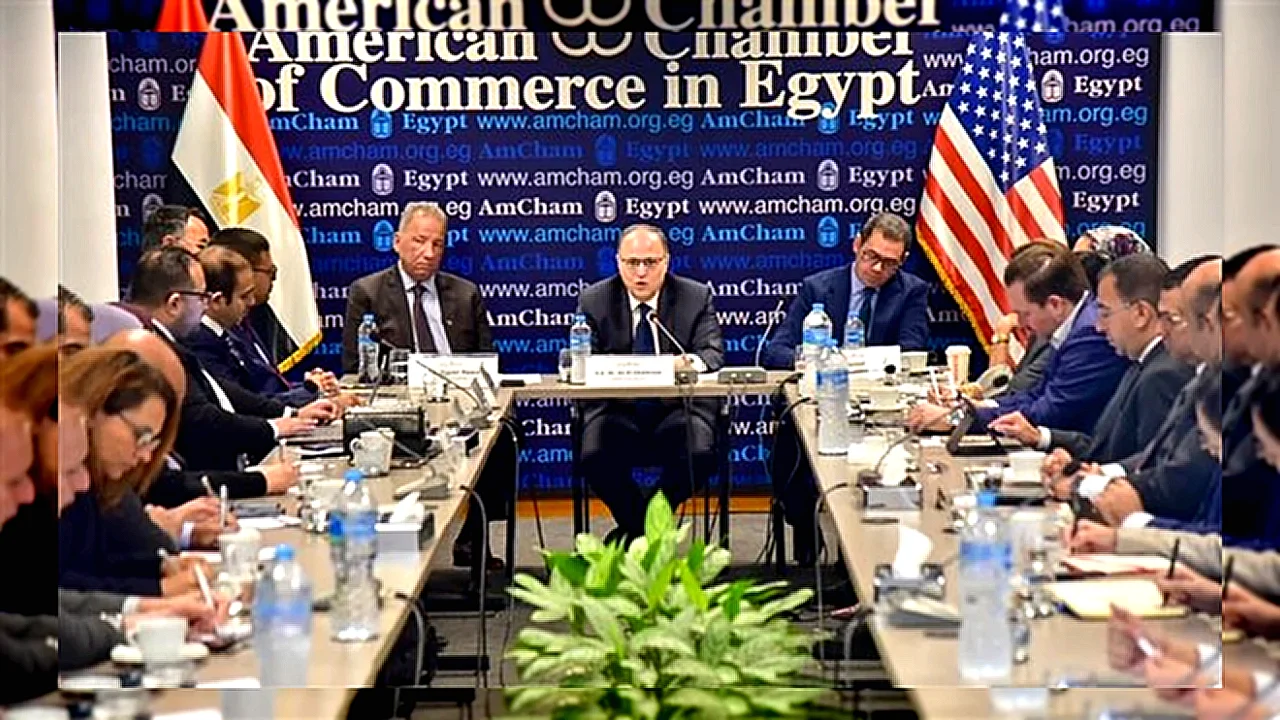 تشارك في مائدة هيئة الدواء المصرية مستديرة مع الغرفة