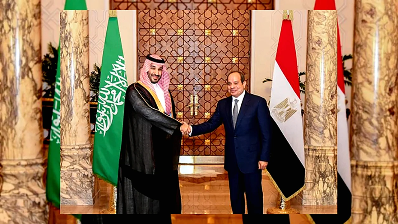 نائب بالشيوخ: مصر والسعودية جسر العمل العربي المشترك والتنسيق بينهما ضرورة استراتيجية