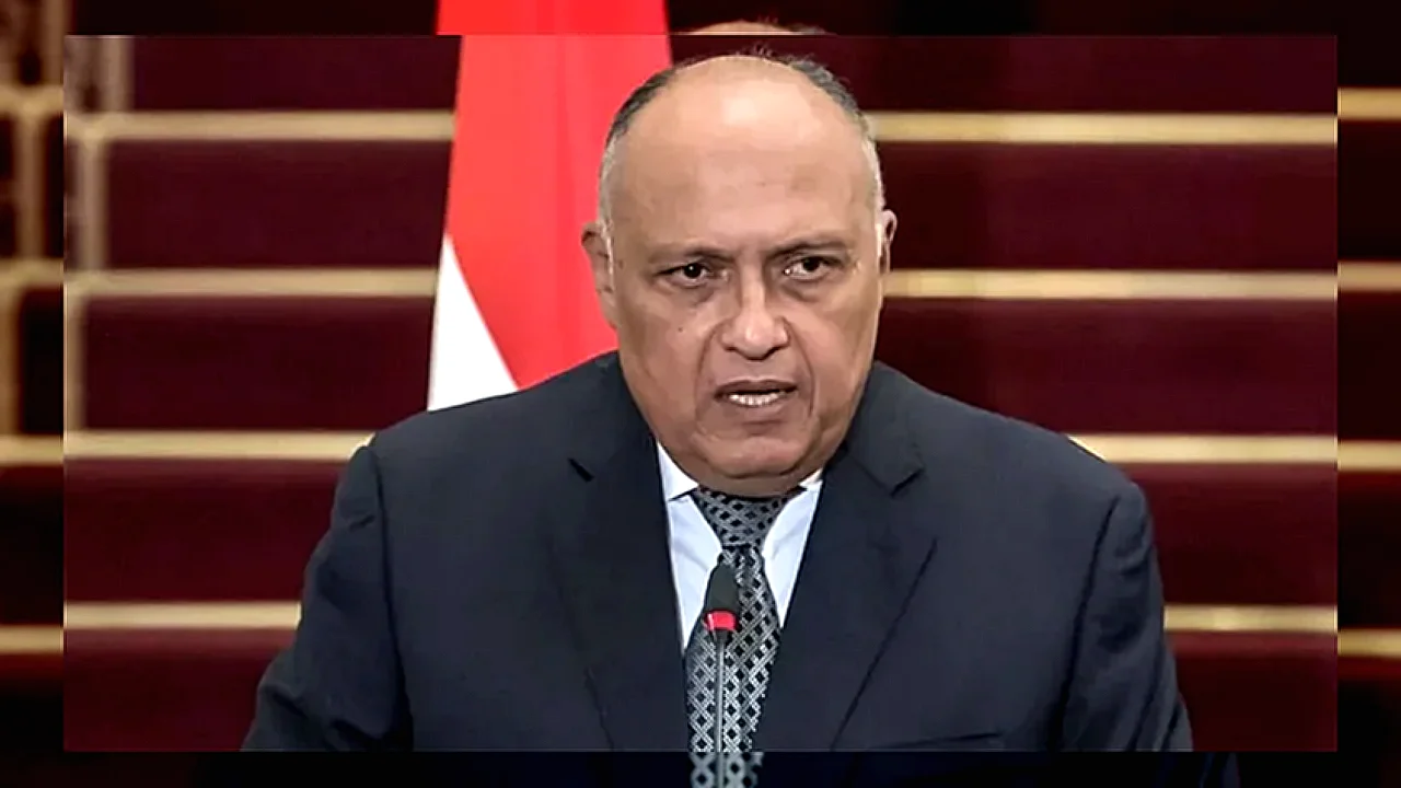 سامح شكري وزير الخارجية السابق يتحدث عن دور الدبلوماسية