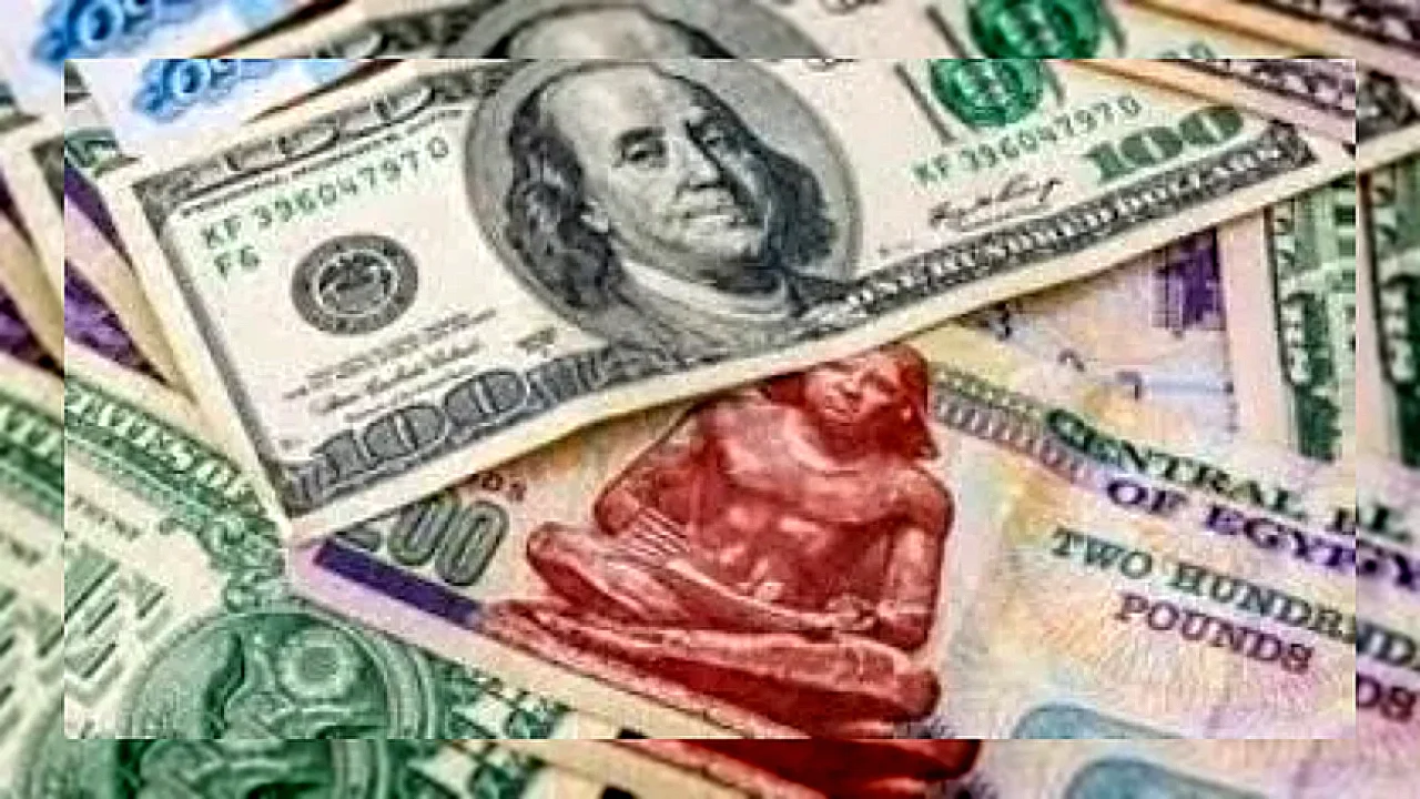 تراجع سعر الدولار أمام الجنيه المصري بنهاية تعاملات الأحد