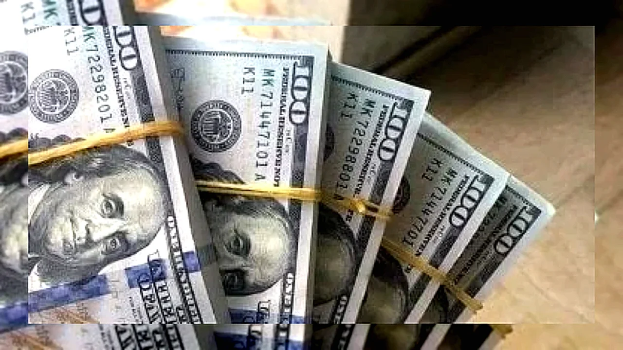 ثبات سعر الدولار مقابل الجنيه فى البنوك المصرية
