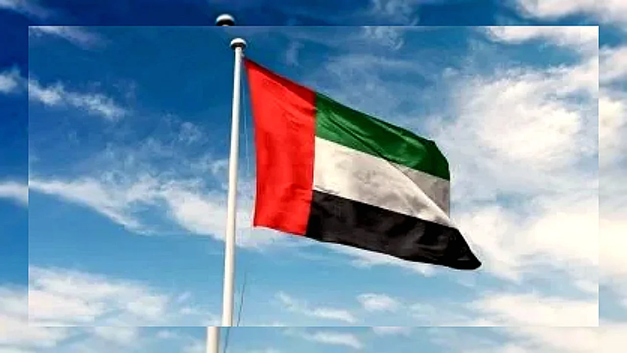 الإمارات تدين استهداف سفينتين في ميناء دمياط وتؤكد تضامنها الكامل مع مصر
