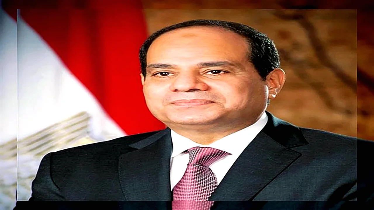 فرص الاستثمار في الرئيس السيسي يبحث فرص الاستثمار مع رجل