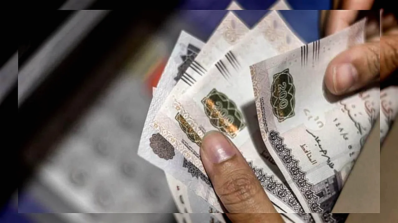 قرار تثبيت أسعار بنك مركزي مصري ومؤشرات مالية توضح أسعار