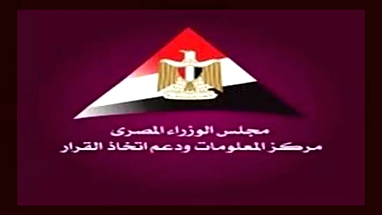 معلومات الوزراء»: 7. 4 مليارات دولار قيمة الصادرات الرقمية المصرية في 2025