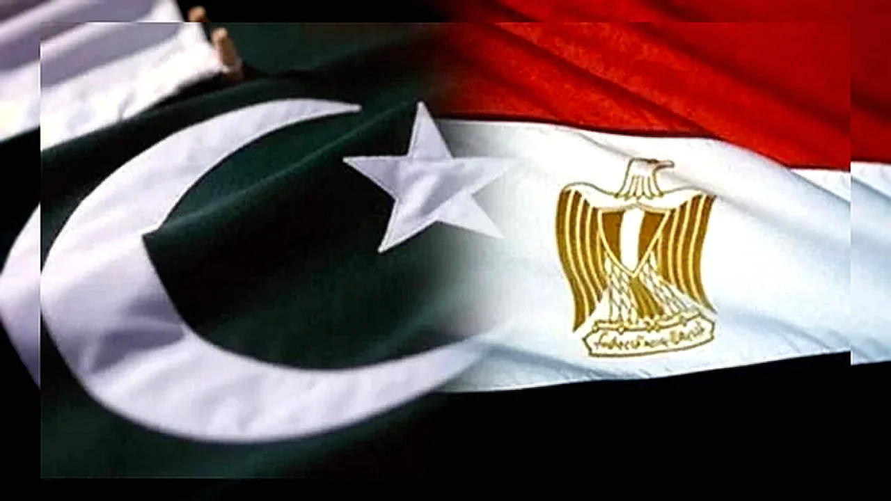 مصر وباكستان تبحثان لقاء مسؤولين مصري وباكستاني لتعزيز