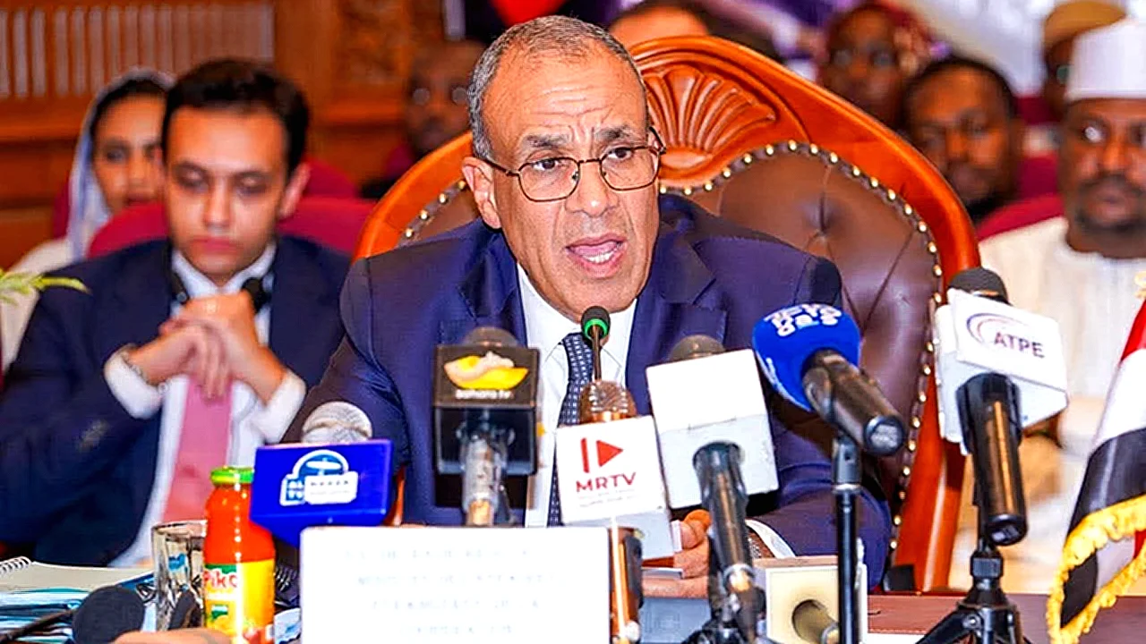مصر وتشاد الشراكة الاستراتيجية - لقاء الدورة الرابعة للجنة