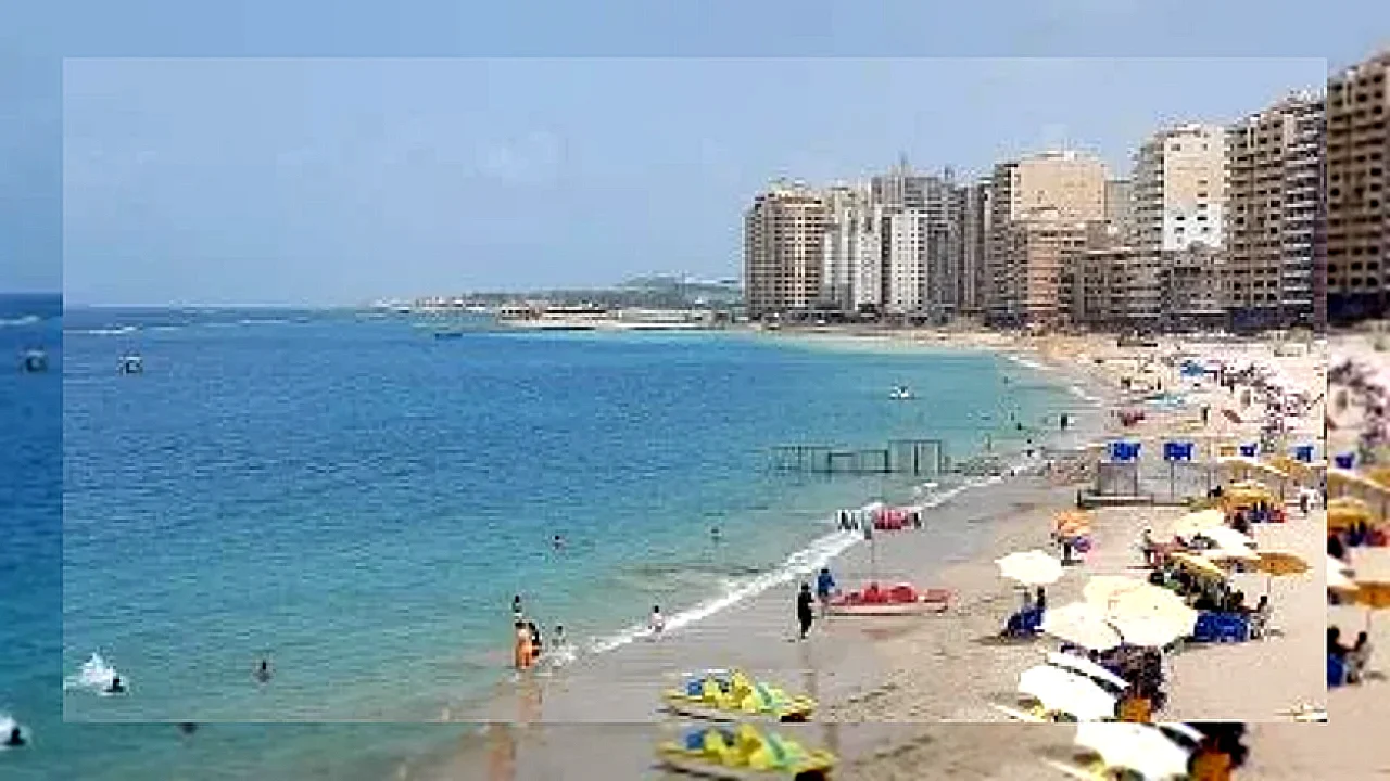 مفاجأة سارة في هيئة الشواطع تعلن عن الإسكندرية